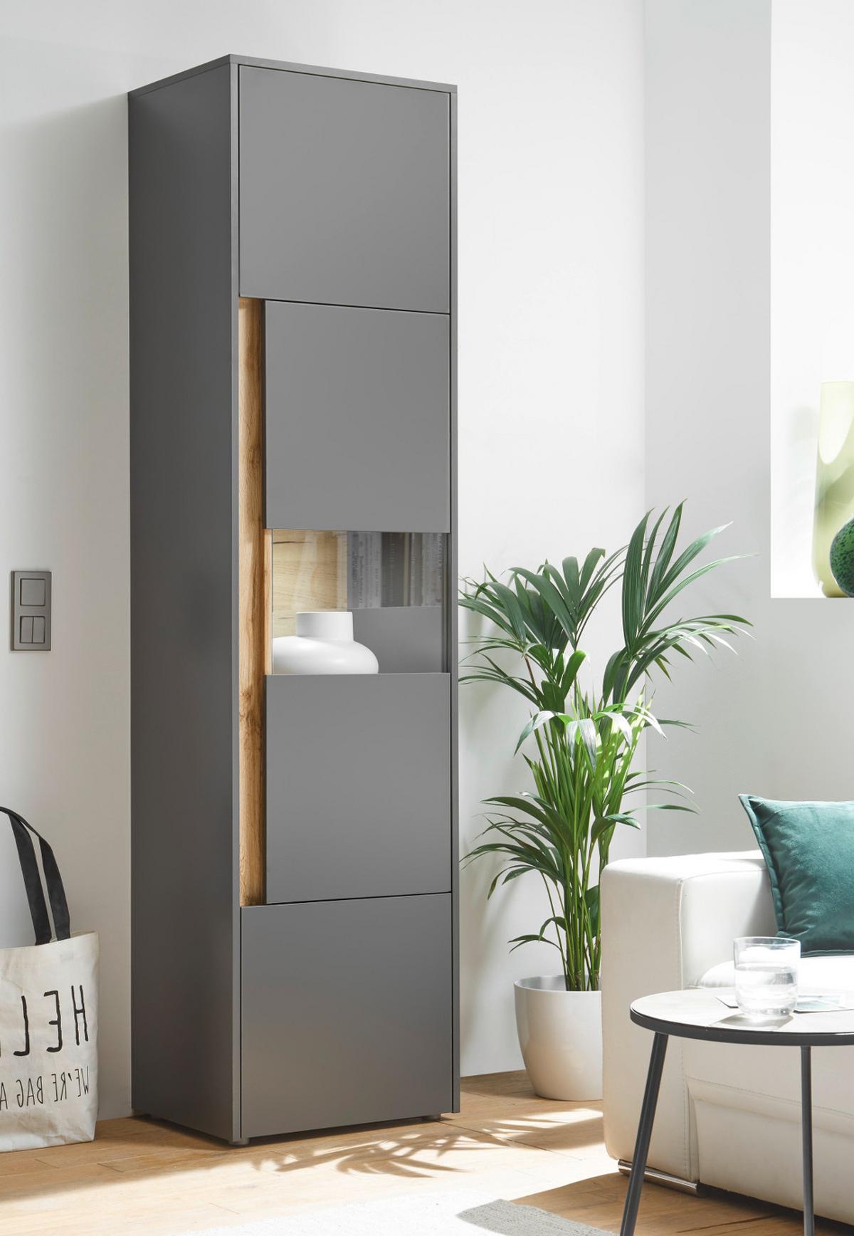 AKTENSCHRANK Grau, Eiche Wotan 50 x 200 cm, Büroschrank mit viel Stauraum und 5 OH - Eiche Wotan/Schwarz, Glas/Holzwerkstoff (50/200/40cm) - Furn.Design