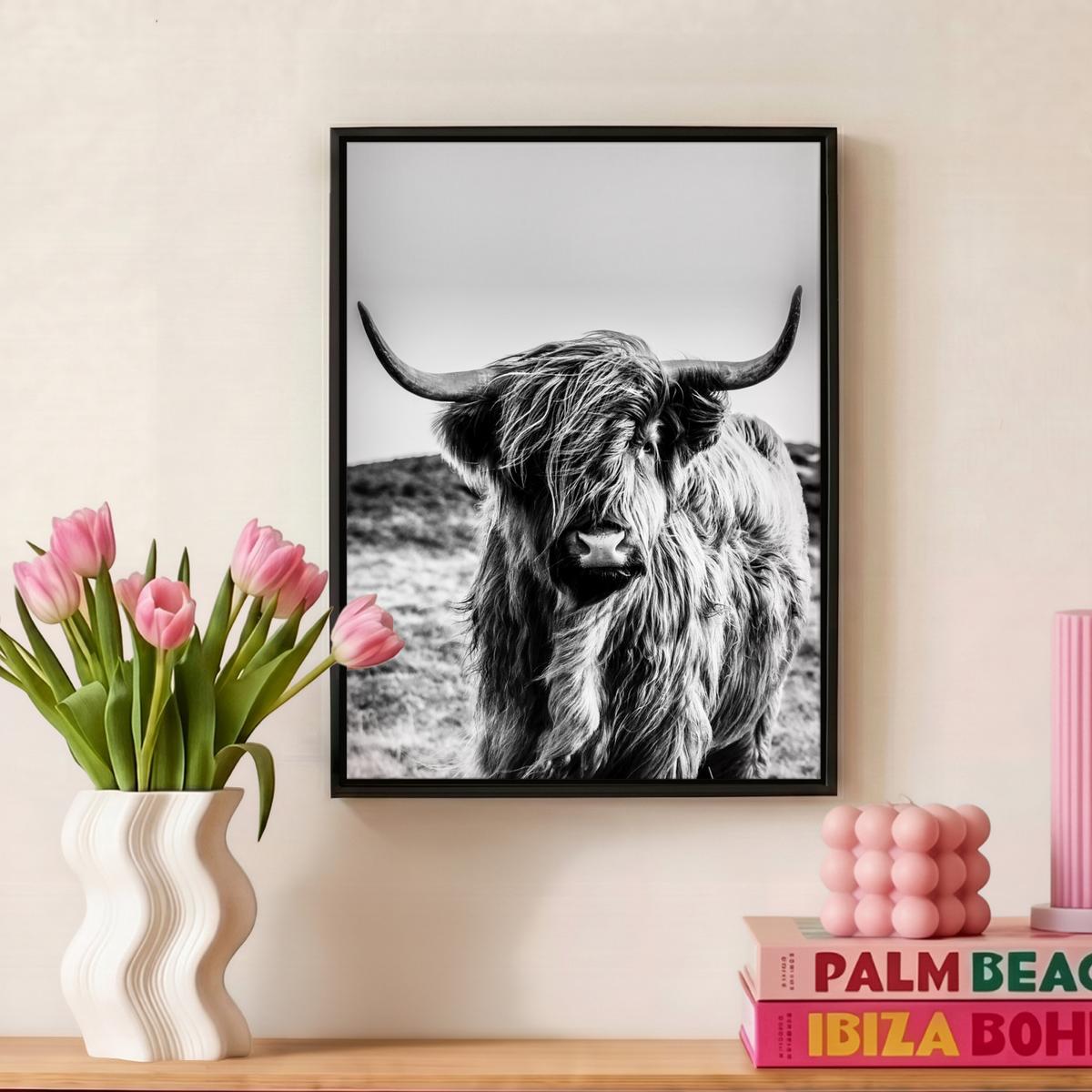 LEINWAND Bilder mit Rahmen - Kuh - Schottischer Hochländer - Schwarz - Weiß - Tier - Natur - Wildtiere - 30x40 - Schwarz, Textil (30/40cm) - MuchoWow
