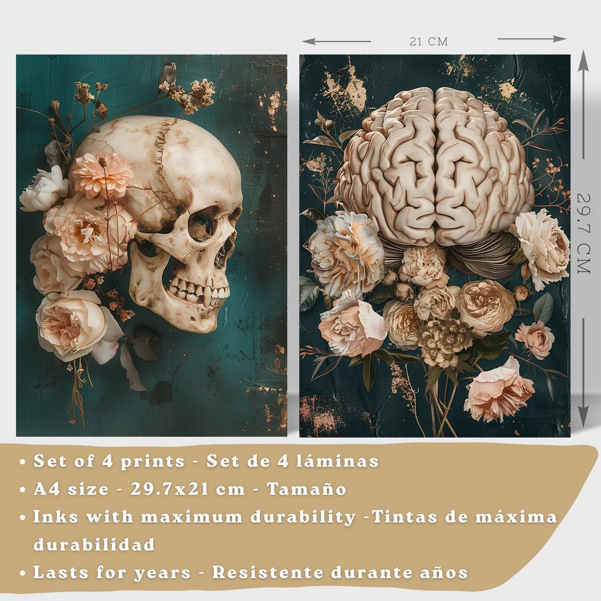 POSTER Set aus 4 Anatomie Mensch Drucke und mit Schädel Gehirn Lungen Luftröhre Bronchien Becken Wirbelsäule Florales Größe Leichter Holzrahmen A4 - Beige, Papier (21/29.7/3cm) - Nacnic