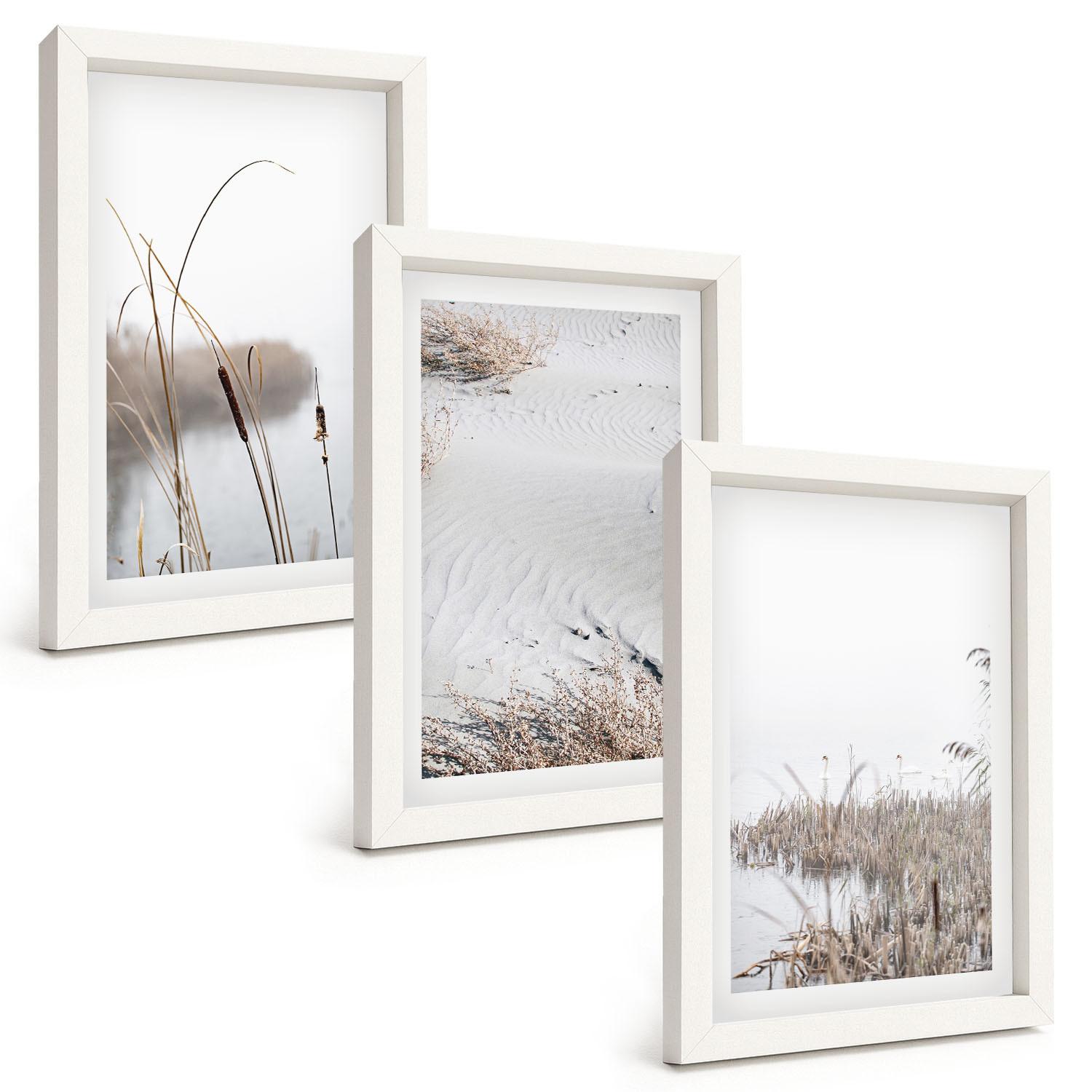 BILDER SET 3er Set - 20x30 cm Weißer Rahmen - Wasserpflanzen im Sommer - Weiß, Kunststoff (20/30cm) - TULUP