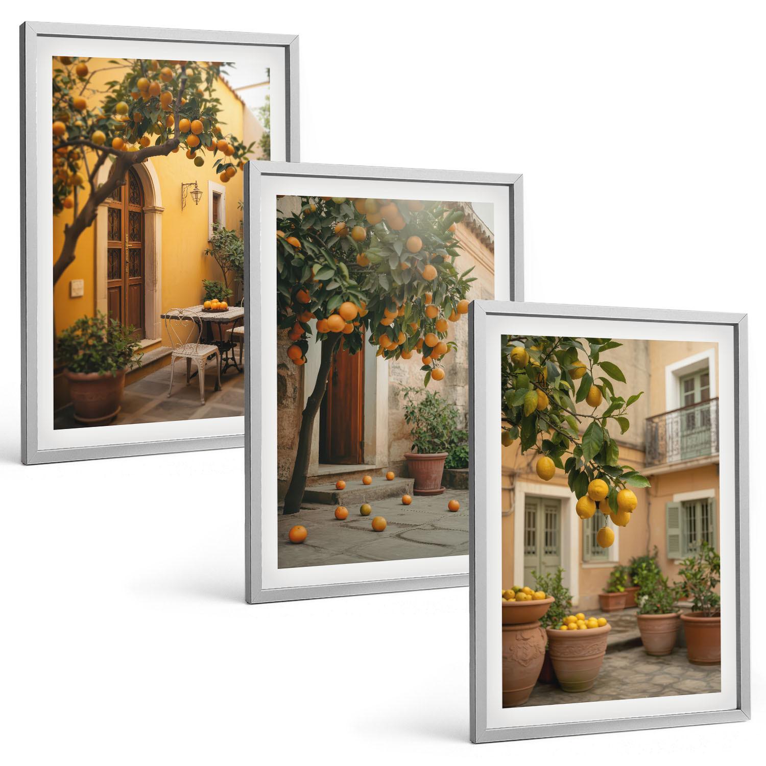 BILDER SET 3er Set - 40x60 cm Silberner Rahmen - Garten-Zitrus-Sonne - Silberfarben, Kunststoff (40/60cm) - TULUP