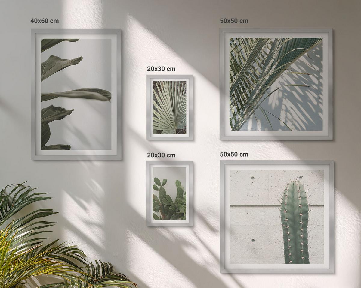 BILDER SET 5er Set - 50x50 cm & 20x30 cm & 40x60 cm Silberner Rahmen - Blätter tropischer Pflanzen in Pastellfarben - Silberfarben, Kunststoff (40/60cm) - TULUP