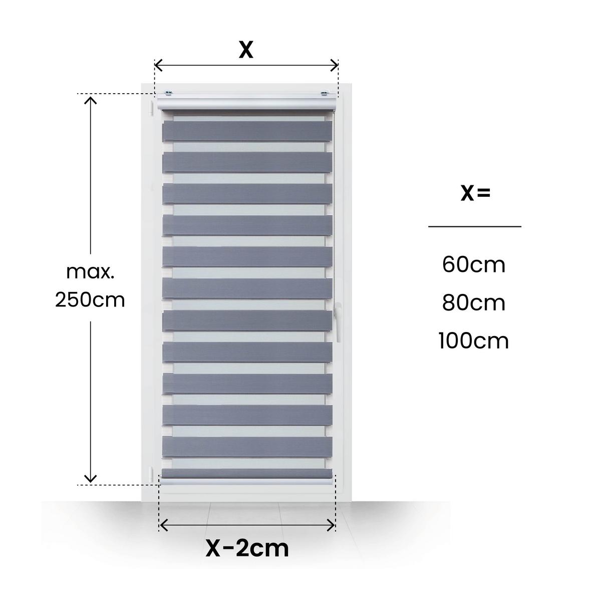 TAG-UND-NACHT-ROLLO Plus Easyfix Silber 100x250 - Hellgrau, Kunststoff (100/250/1cm) - STORESDECO