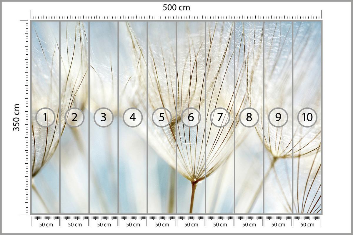 FOTOTAPETE für Wohnzimmer Löwenzahn Pflanzen Natur 500x350 - Blau/Beige, Papier (500/350cm) - Muralo