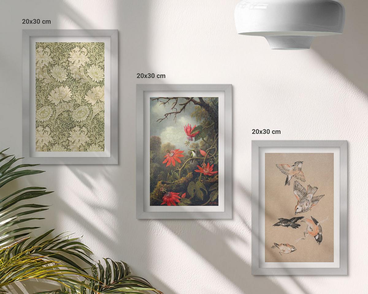 BILDER SET 3er Set - 20x30 cm Silberner Rahmen - Blumen, Vögel, Natur - Silberfarben, Kunststoff (20/30cm) - TULUP