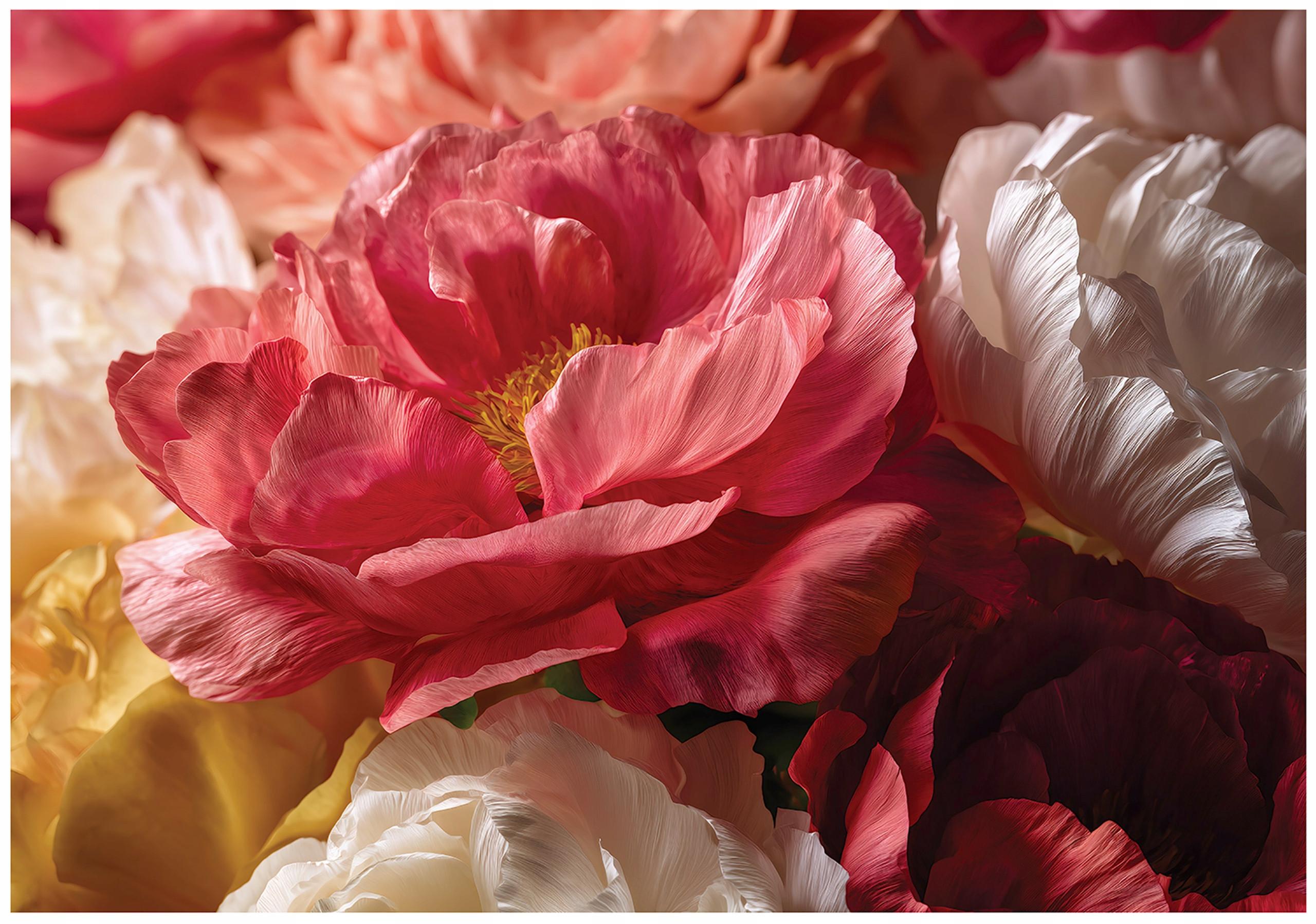 FOTOTAPETE Blumen Pfingstrosen Rot 150x105 cm - Multicolor, Papier (150/105cm) - Wallarena