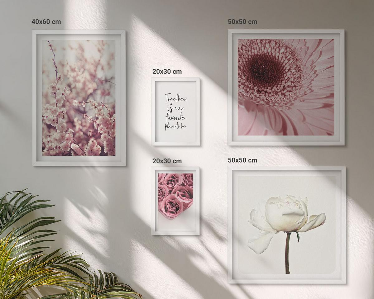 BILDER SET 5er Set - 50x50 cm & 20x30 cm & 40x60 cm Weißer Rahmen - Blumensträuße mit Rosen, Hausinschrift - Weiß, Kunststoff (40/60cm) - TULUP
