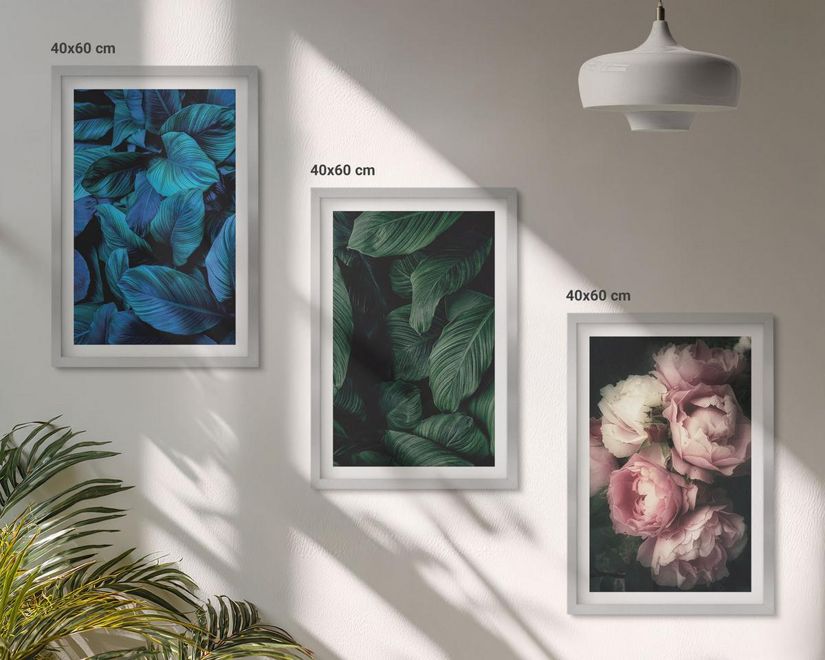 BILDER SET 3er Set - 40x60 cm Silberner Rahmen - Blätter, Blüten, verschiedene Farben - Silberfarben, Kunststoff (40/60cm) - TULUP