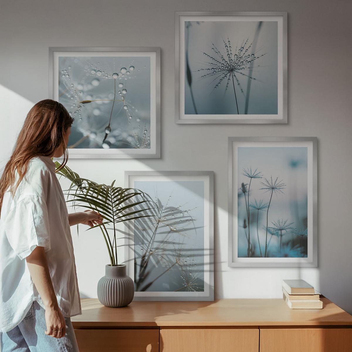 BILDER SET 4er Set - 50x50 cm & 40x60 cm Silberner Rahmen - Löwenzahn-Wassertropfen - Silberfarben, Kunststoff (50/50cm) - TULUP
