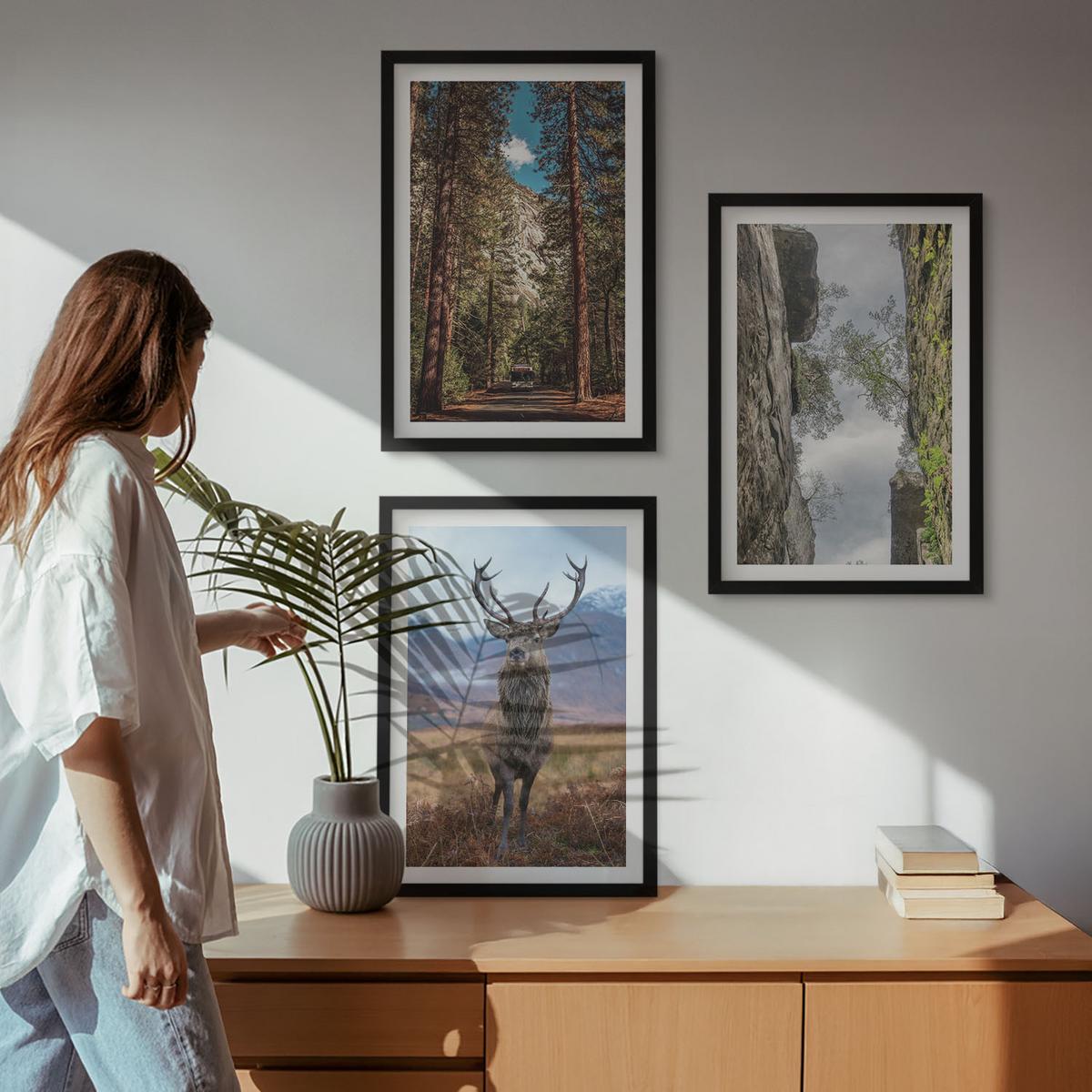 BILDER SET 3er Set - 40x60 cm Schwarzer Rahmen - Straße Wald Berge Hirsch Natur - Schwarz, Kunststoff (40/60cm) - TULUP