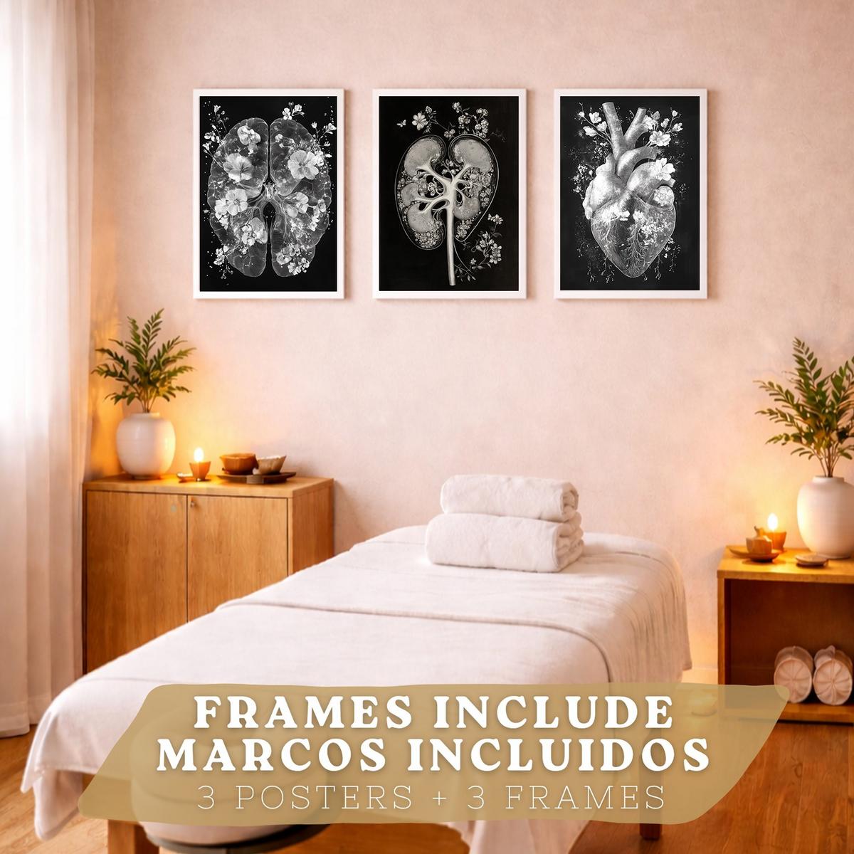 POSTER Set aus 3 Anatomie Drucke und Wandbilder mit Inneren Organen Gehirn Herz Nieren Minimalistisches Schwarz Weiß Design Größe Weißer Rahmen A3 - Weiß, Papier (29.7/42/3cm) - Nacnic