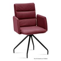 ARMLEHNSTUHL (6er-Set) Dianne 52x92x60 Schwarz/Marsala - Brombeere/Schwarz, Kunststoff (60/92/52cm) - 58aufmkessel