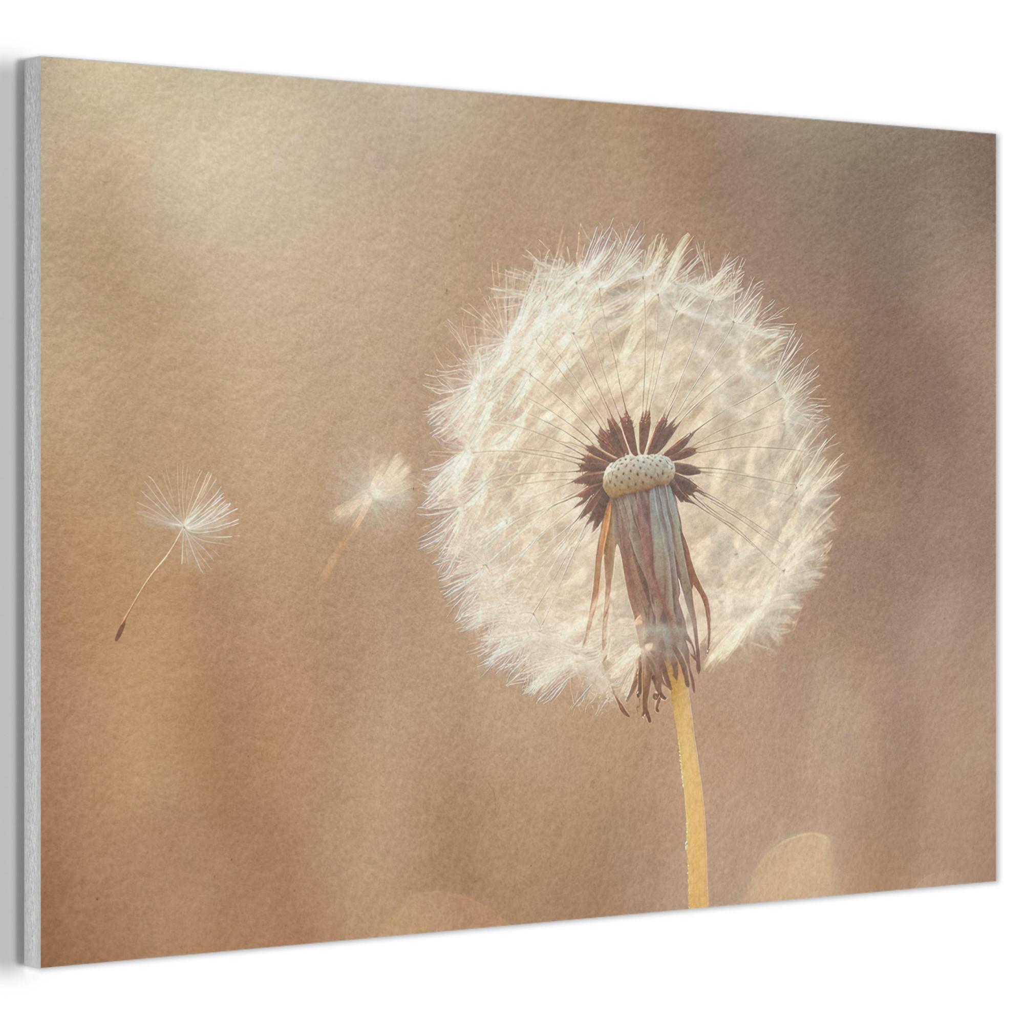 AKUSTIKBILD Löwenzahn - Beige - Natur - Blume Akustikpaneele 90x60 cm - Hellbraun, Kunststoff (90/60/0.9cm) - MuchoWow