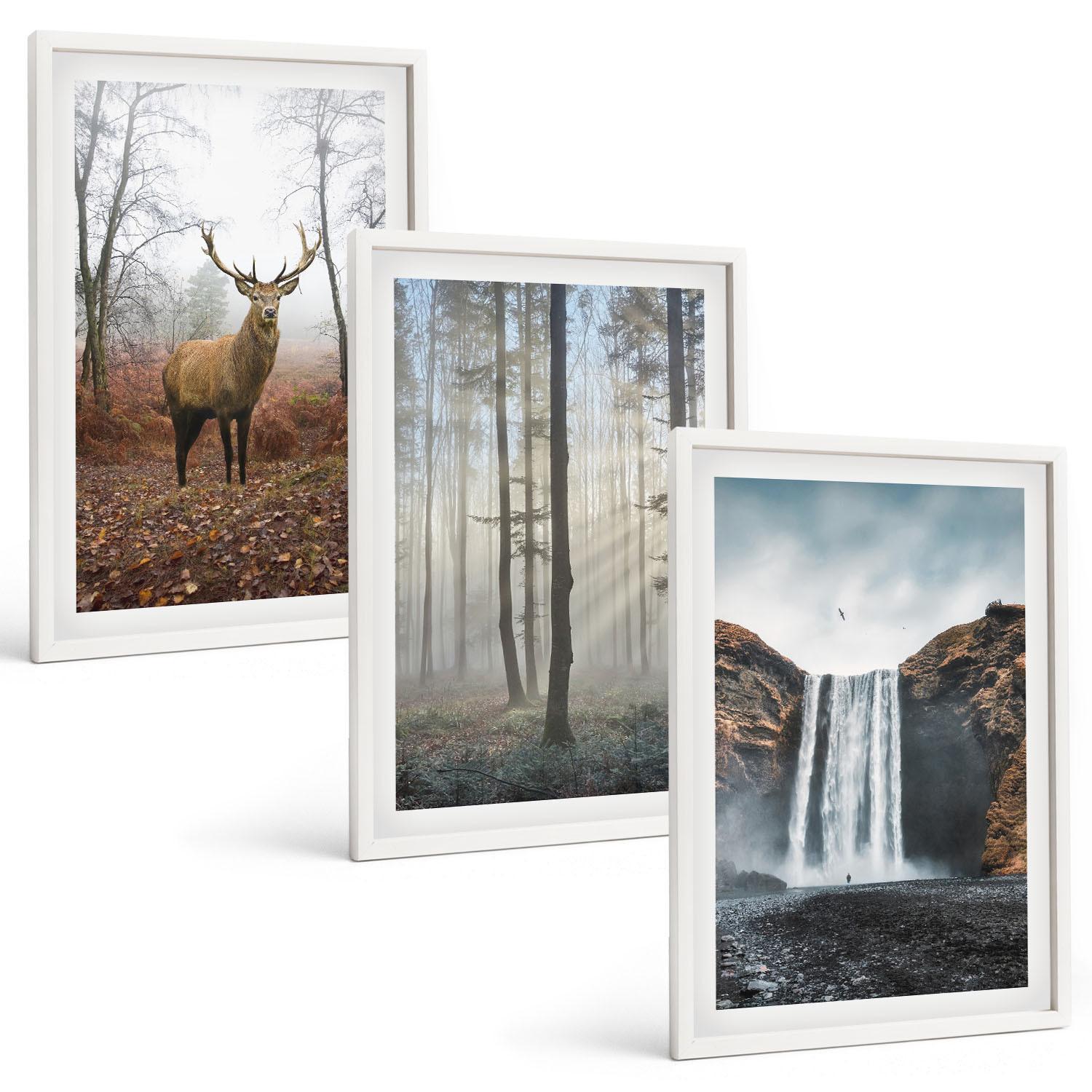 BILDER SET 3er Set - 40x60 cm Weißer Rahmen - Waldlandschaften, wilde Natur - Weiß, Kunststoff (40/60cm) - TULUP