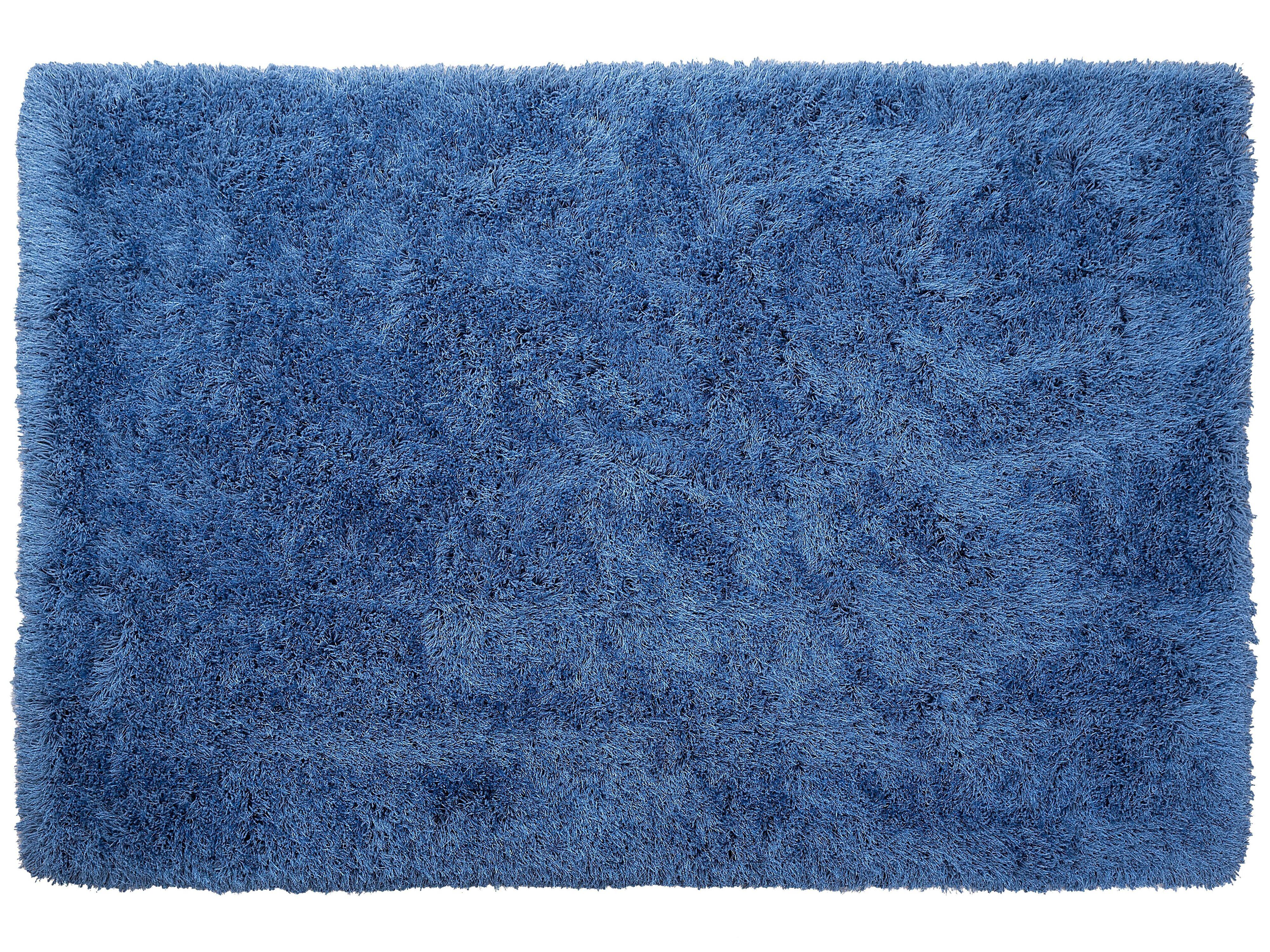 SHAGGY-TEPPICH Cide 300/200 cm - Blau, Kunststoff (200/300cm) - Beliani