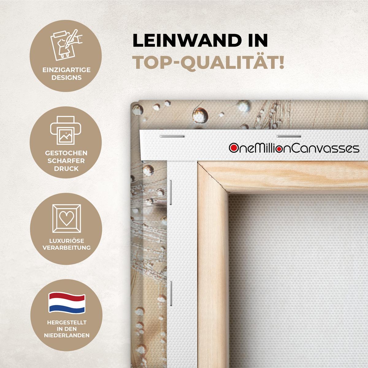 LEINWANDBILD Löwenzahn - Abstrakt - Natur - Beige Deko Wohnzimmer 20x20 cm - Braun, Textil (20/20cm) - MuchoWow