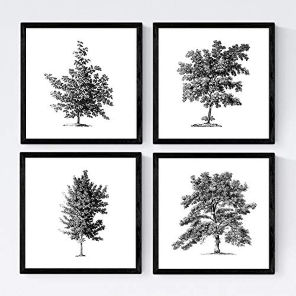 POSTER Set mit 4 Blättern der Bäume ohne Blüten weiß 30x30 cm Rahmenlos - Klar, Papier (30/3cm) - Nacnic