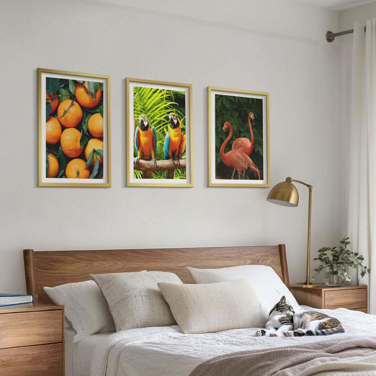 BILDER SET 3er Set - 40x60 cm Goldrahmen - Fruchtige Akzente in den Tropen - Goldfarben, Kunststoff (40/60cm) - TULUP