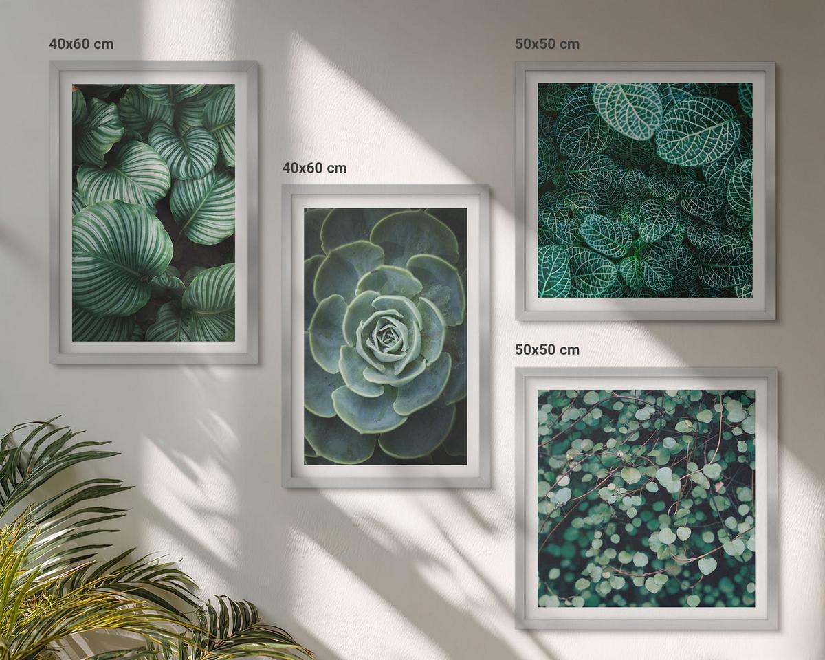 BILDER SET 4er Set - 50x50 cm & 40x60 cm Silberner Rahmen - Grüne Blätter von eleganten Sukkulenten - Silberfarben, Kunststoff (50/50cm) - TULUP