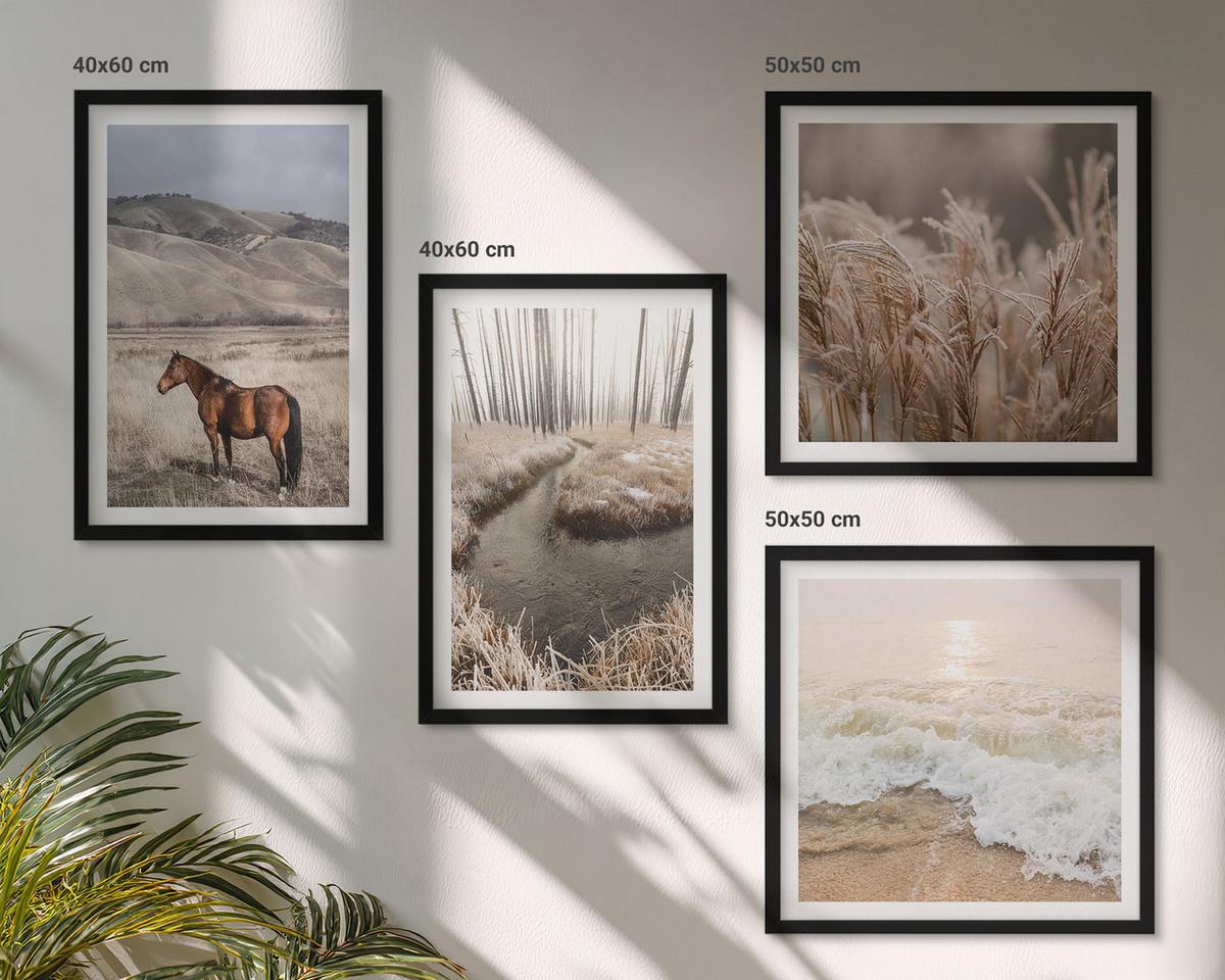 BILDER SET 4er Set - 50x50 cm & 40x60 cm Schwarzer Rahmen - Pferdelandschaft Seegraswald - Schwarz, Kunststoff (50/50cm) - TULUP