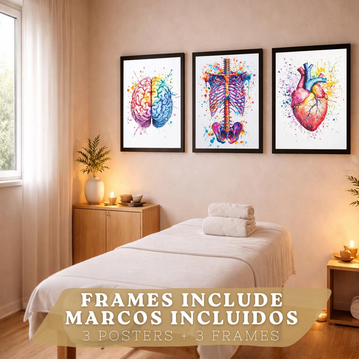 POSTER Set aus 3 Anatomie Mensch Drucke und Wandbilder mit Gehirn Herz Rippen Wirbelsäule Lebendiges Aquarell Design Größe Schwarzer Rahmen A4 - Schwarz, Papier (21/29.7/3cm) - Nacnic