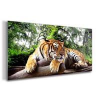 GLASBILD 140x70 cm Tiger - Grau, Glas (140/70cm) - TULUP