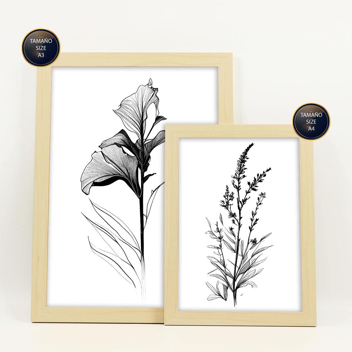 POSTER Set Mit 6 Ansteckblumen Natur Und Botanikdrucke Mit Blumenmotiven In Klassischem Schwarz Und Weiß A3 & A4 Rahmen Aus Hellem Holz - Beige, Papier (29/3cm) - Nacnic