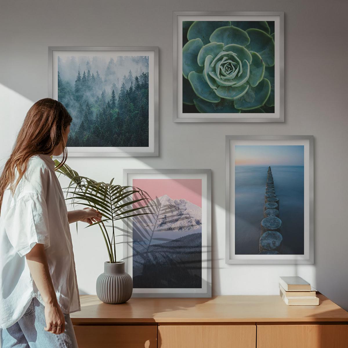 BILDER SET 4er Set - 50x50 cm & 40x60 cm Silberner Rahmen - Berge, rosa Himmel, Wasser, Sukkulente - Silberfarben, Kunststoff (50/50cm) - TULUP