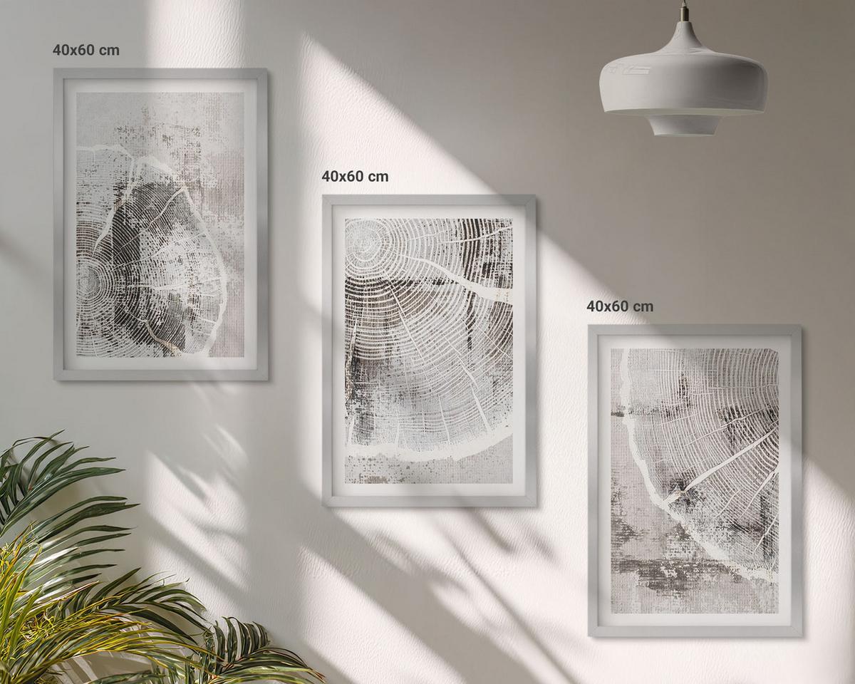 BILDER SET 3er Set - 40x60 cm Silberner Rahmen - Graue Holzmaserungsmuster - Silberfarben, Kunststoff (40/60cm) - TULUP