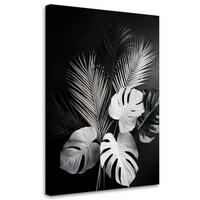 WANDBILD monstera palmenblätter schwarz und weiß - Schwarz, Textil (70/100cm) - Feeby