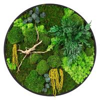 MOOSBILD Rund Ø 60 cm Mooswand Indoor mit echtem Kugel-, Island- und Flachmoos-Mix und Ästen Holzrahmen Grün - Gelb/Grün, Naturmaterialien (60/60/3cm) - ECD-Germany