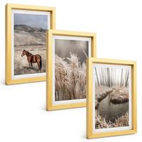 BILDER SET 3er Set - 20x30 cm Goldrahmen - Pferde, Landschaft, Gras, Bach - Goldfarben, Kunststoff (20/30cm) - TULUP