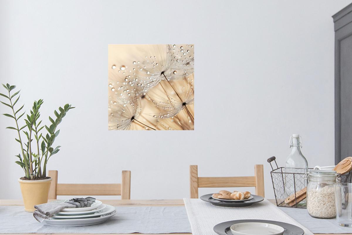 WANDTATTOO Löwenzahn - Abstrakt - Natur - Beige Wanddeko 50x50 cm - Braun, Kunststoff (50/50/0.1cm) - MuchoWow