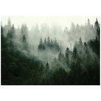 FOTOTAPETE Wald Nebel 350x250 - Multicolor, Papier (350/250cm) - Wallarena