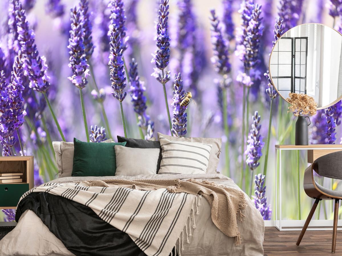 FOTOTAPETE für Küche Lavendelwiese Blumen Kräuter 450x315 - Violett/Grün, Papier (450/315cm) - Muralo