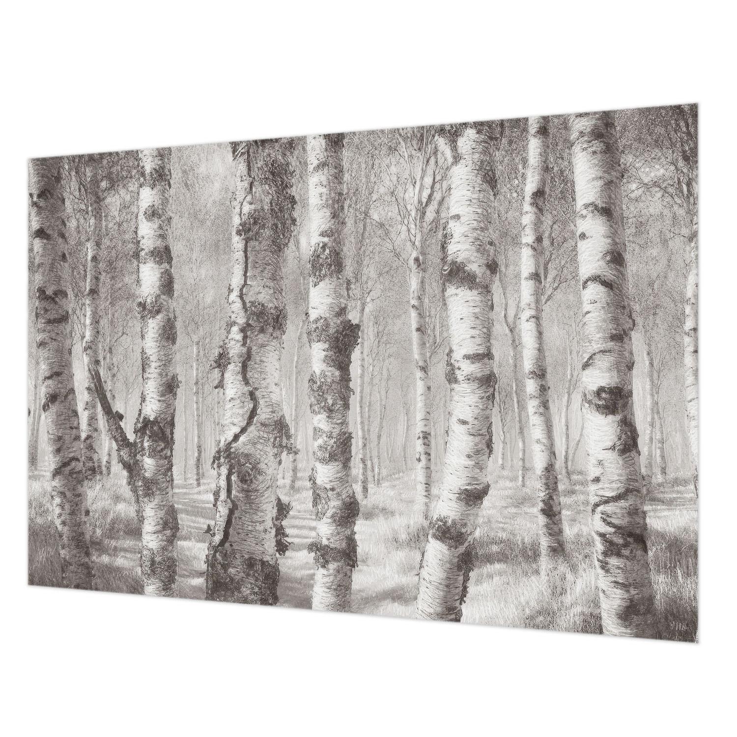 FOTOTAPETE 152x104 cm - Birkenwald - Schwarz, Textil (152/104cm) - Wallfluent