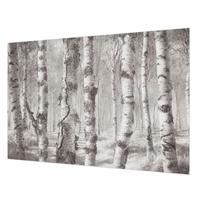 FOTOTAPETE 152x104 cm - Birkenwald - Schwarz, Textil (152/104cm) - Wallfluent