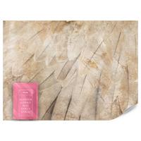 FOTOTAPETE Vogelflügel Beton Retro Stil 400x280 - Beige/Braun, Papier (400/280cm) - Muralo