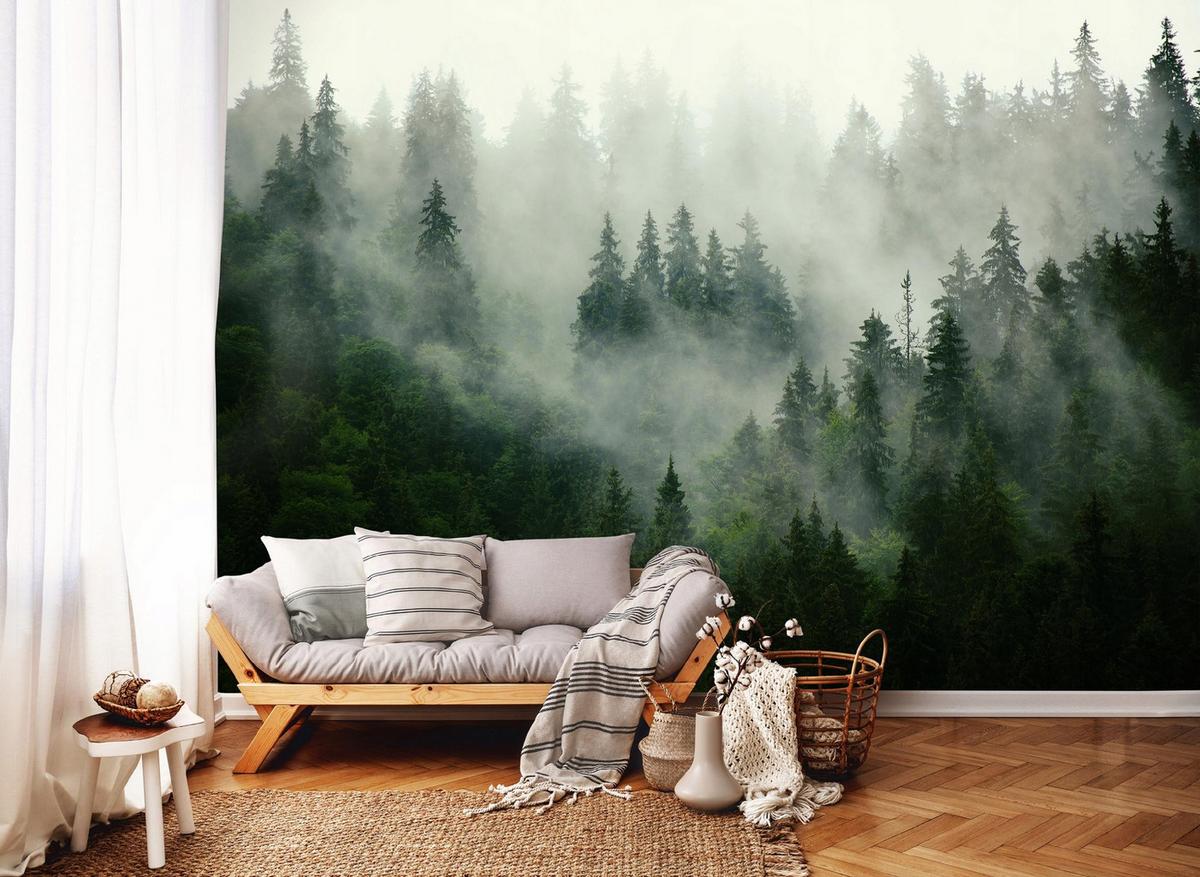 FOTOTAPETE Wald Nebel 150x105 - Multicolor, Papier (150/105cm) - Wallarena