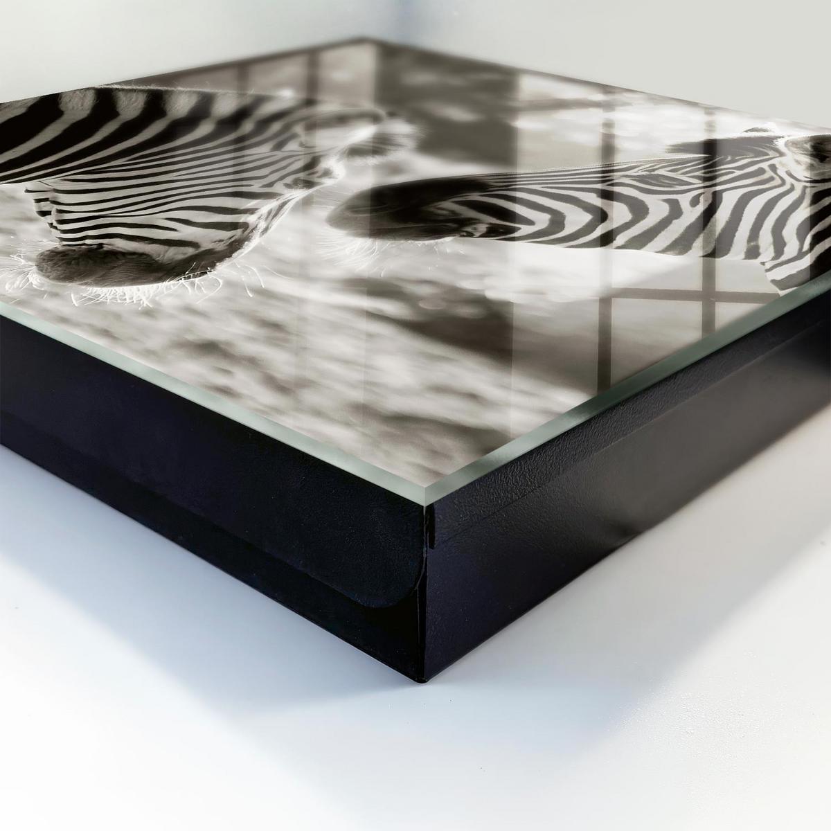 SCHLÜSSELBOX Schwarz 30x30 cm- Türöffnung nach rechts - Zebras zusammen - Multicolor, Metall (30/30/5cm) - TULUP