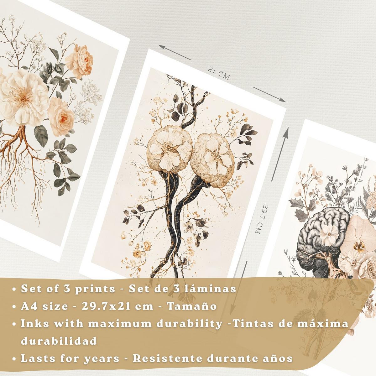 POSTER Set aus 3 Neuronale Anatomie Drucke und Wandbilder mit Neuronen Synapsen und Gehirn Minimalistischer Floraler Stil Größe Leichter Holzrahmen A4 - Beige, Papier (21/29.7/3cm) - Nacnic