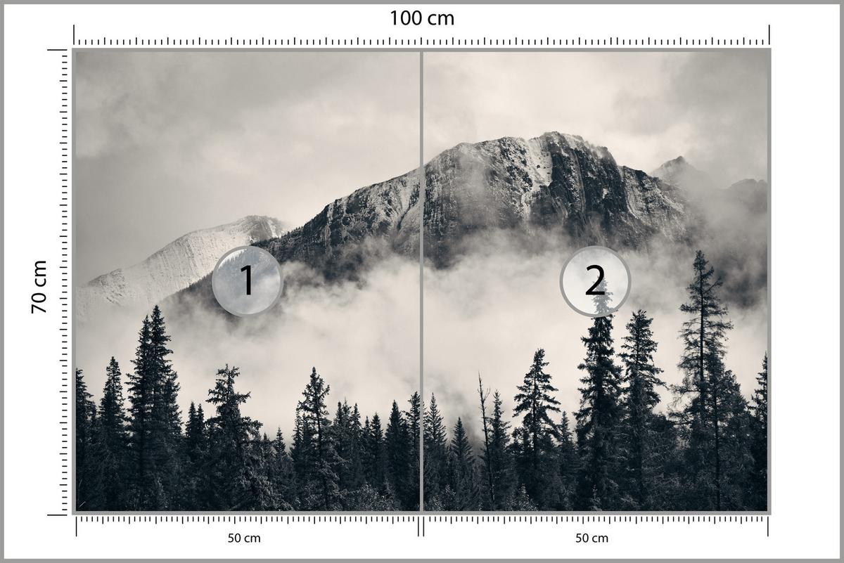 FOTOTAPETE für Wohnzimmer Nadelwald im Nebel im Hintergrund Berge 100x70 - Beige/Schwarz, Papier (100/70cm) - Muralo
