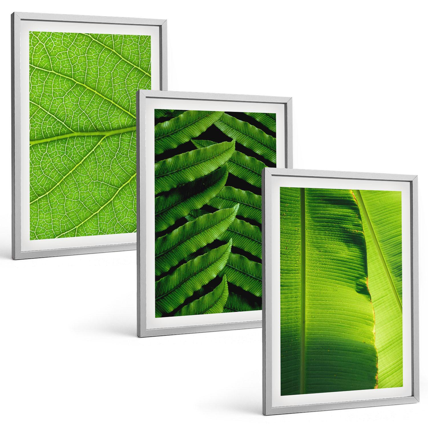 BILDER SET 3er Set - 40x60 cm Silberner Rahmen - Makrofotografie von tropischen Blättern - Silberfarben, Kunststoff (40/60cm) - TULUP