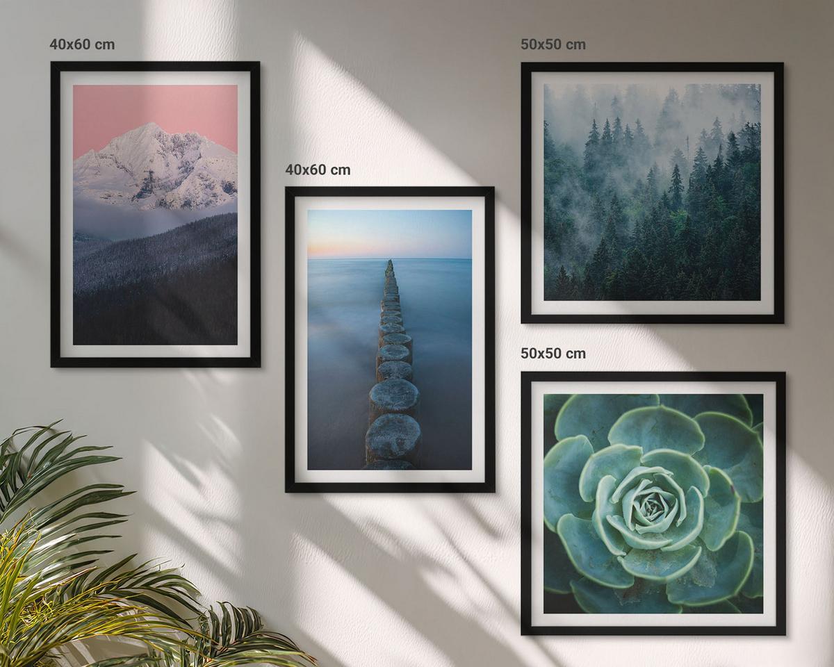 BILDER SET 4er Set - 50x50 cm & 40x60 cm Schwarzer Rahmen - Berge, rosa Himmel, Wasser, Sukkulente - Schwarz, Kunststoff (50/50cm) - TULUP