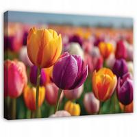 LEINWANDBILD Blumen Tulpen Bunt 120x80 cm - Multicolor, Holzwerkstoff (120/80cm) - Wallarena