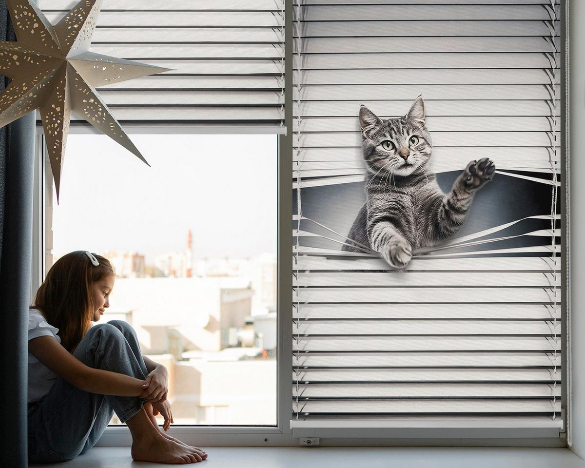 INNENROLLO - Fensterrollo - Rollo - 110x140 cm - Katze - Grau, Kunststoff (110/140/0.5cm) - TULUP