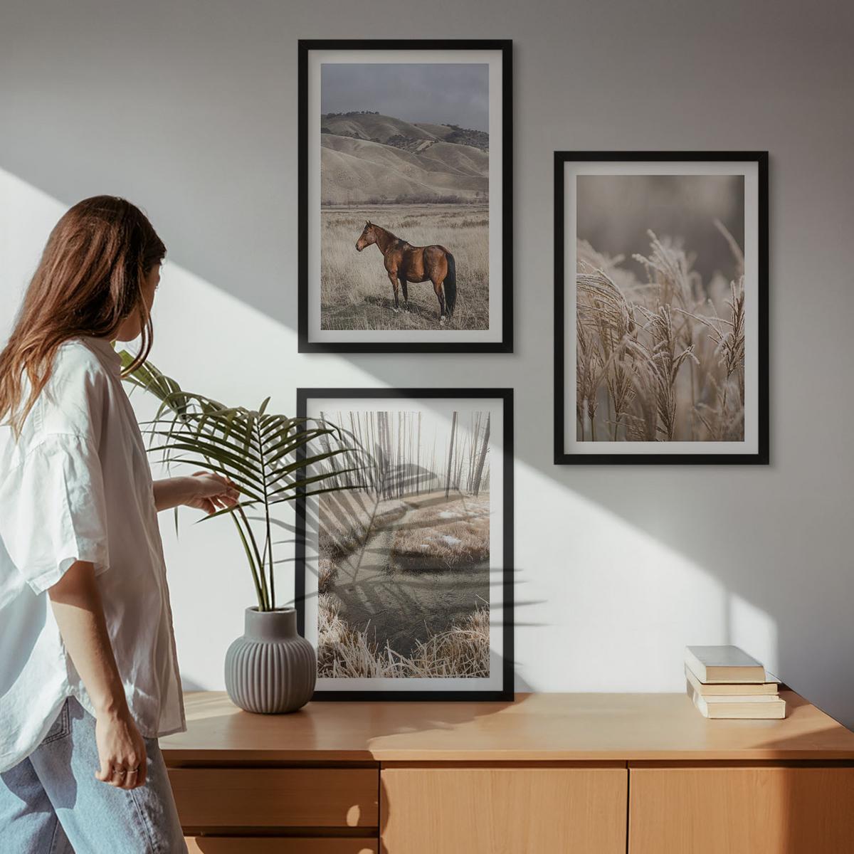 BILDER SET 3er Set - 40x60 cm Schwarzer Rahmen - Pferde, Landschaft, Gras, Bach - Schwarz, Kunststoff (40/60cm) - TULUP