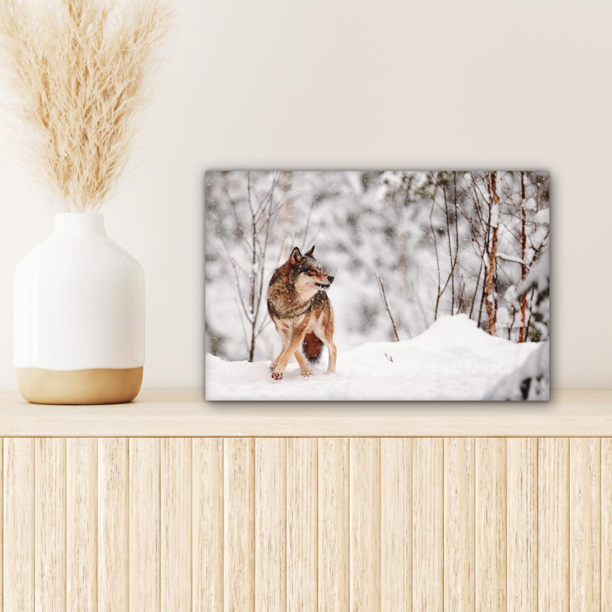 LEINWANDBILD Wolf - Winter - Schnee - Natur - Tiere Deko Schlafzimmer 30x20 cm - Haselnussfarben, Textil (30/20cm) - MuchoWow