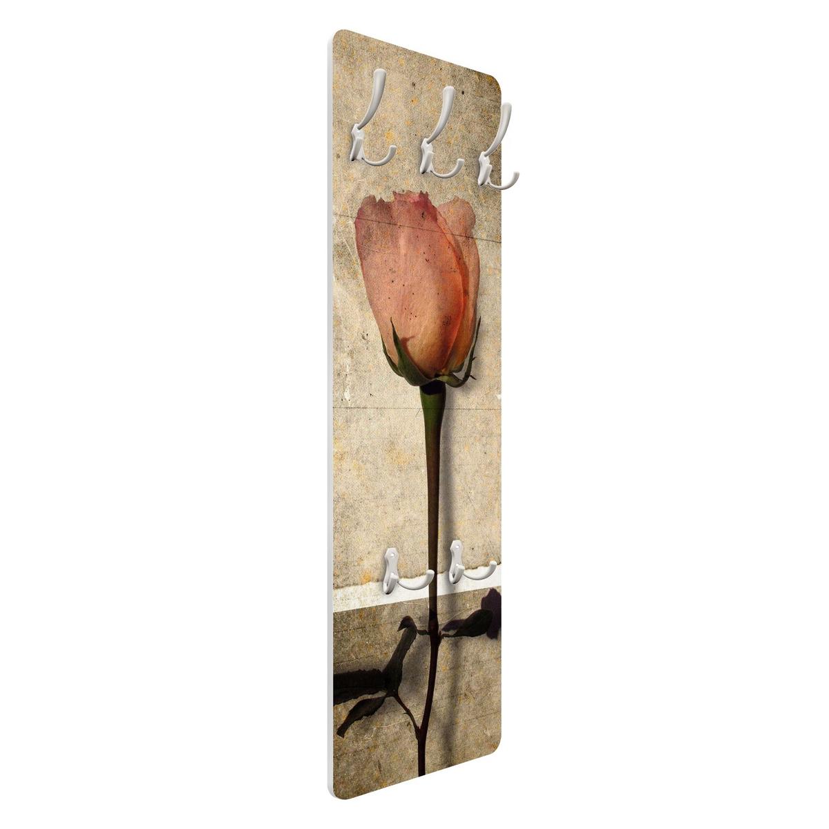 WANDGARDEROBE - Inner Rose Braun 34/105 cm - Rosa, Holzwerkstoff (34/105/1.6cm) - Bilderwelten