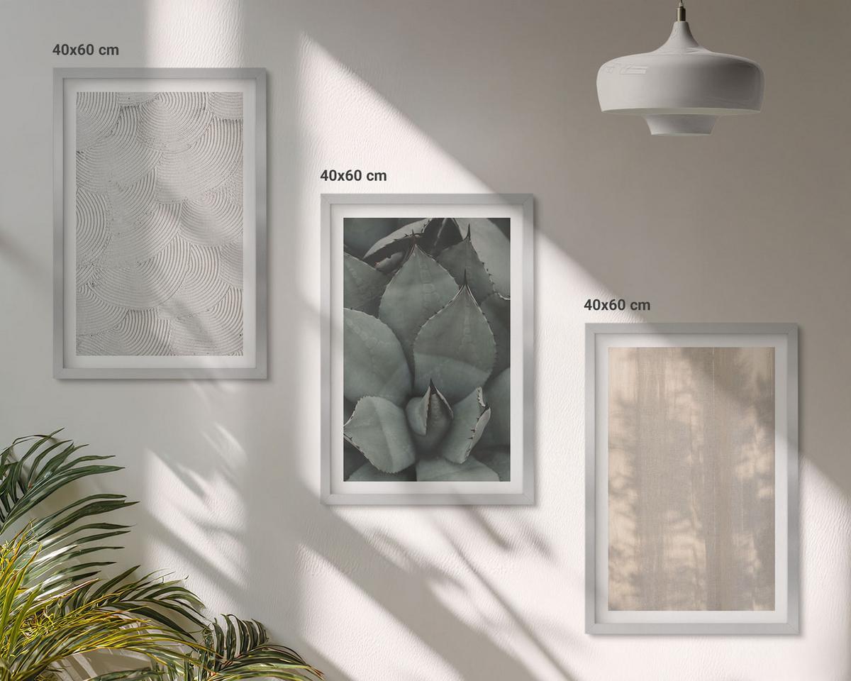 BILDER SET 3er Set - 40x60 cm Silberner Rahmen - Sommerliche tropische Texturen - Silberfarben, Kunststoff (40/60cm) - TULUP